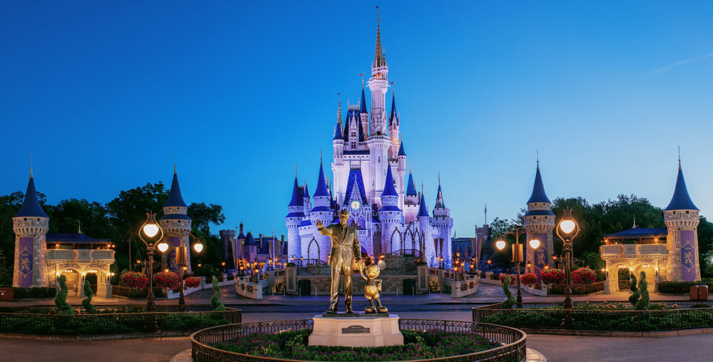 WALT DISNEY WORLD - FLORIDA